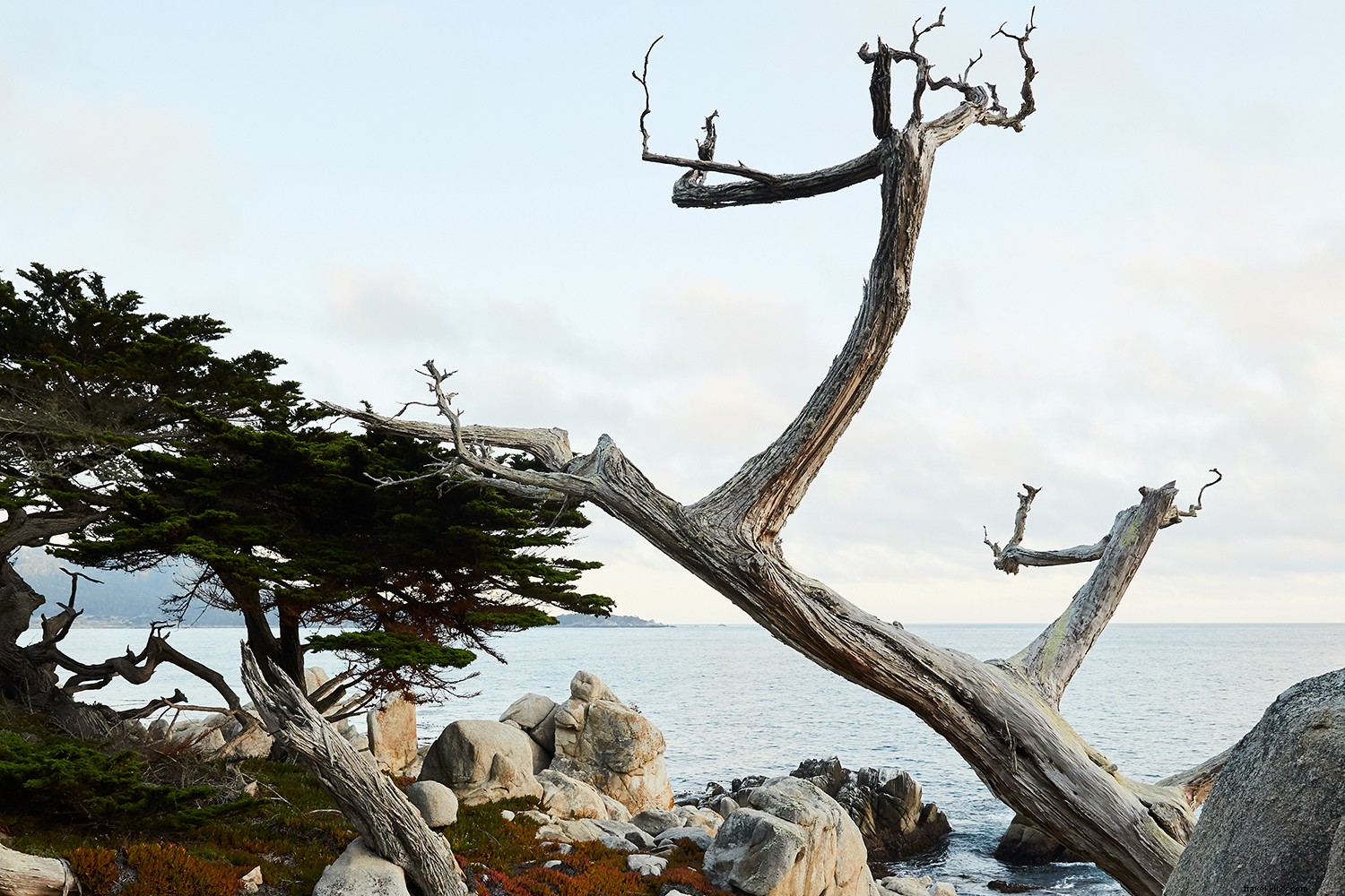 Monterey :où les photos de rêve sont encore meilleures IRL 